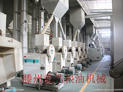 260吨大米加工设备.jpg